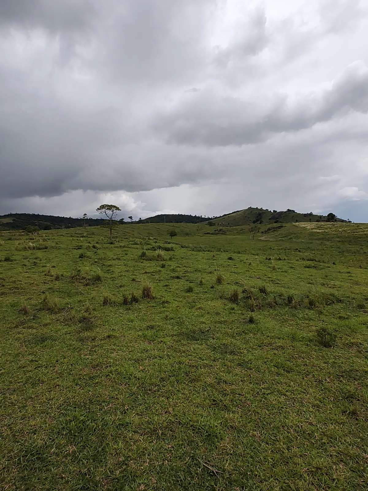 A Fazenda Florestas e Texas, em São Mateus (ES) | Foto: Reprodução/Acervo pessoal