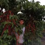 A Fazenda Florestas e Texas, em São Mateus (ES) | Foto: Reprodução/Acervo pessoal