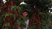 A Fazenda Florestas e Texas, em São Mateus (ES) | Foto: Reprodução/Acervo pessoal