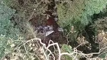 Os destroços da aeronave estavam uma área de mata de difícil acesso, entre Garuva e Itapoá, no norte de SC | Foto: Divulgação/Águia/Polícia Militar