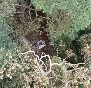 Os destroços da aeronave estavam uma área de mata de difícil acesso, entre Garuva e Itapoá, no norte de SC | Foto: Divulgação/Águia/Polícia Militar