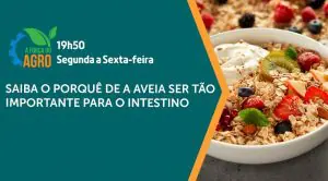 Chamada da edição do programa A Força do Agro de 7 de junho de 2024. A foto exibe um prato recheado com aveia