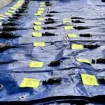 Polícia indicia Cobasi por morte de 200 animais em inundações