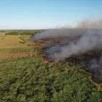 Incêndios Pantanal MS