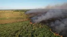 Incêndios Pantanal MS