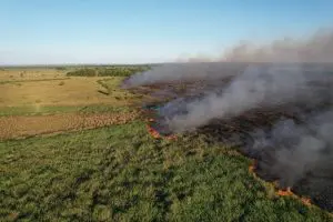Incêndios Pantanal MS