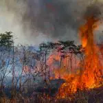 Queimadas na Amazônia, no Acre