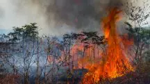 Queimadas na Amazônia, no Acre