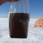 Amostra do vírus gigante na Groelândia