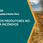 O combate a incêndios florestais é assunto em A Força do Agro | Foto: Divulgação/Revista Oeste