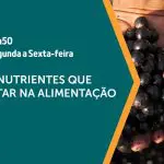 O açaí é assunto em A Força do Agro | Foto: Divulgação/Revista Oeste