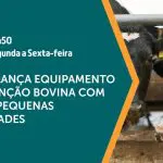 Equipamentos de contenção bovina são assunto em A Força do Agro | Foto: Divulgação/Revista Oeste