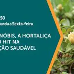 O ora-pro-nóbis é assunto em A Força do Agro | Foto: Divulgação/Revista Oeste