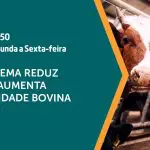 A produção bovina é assunto em A Força do Agro | Foto: Divulgação/Revista Oeste