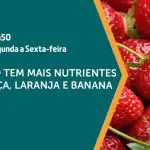 O bem-estar animal é assunto em A Força do Agro | O morango é assunto em A Força do Agro | Foto: Divulgação/Revista Oeste