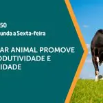 O bem-estar animal é assunto em A Força do Agro | O morango é assunto em A Força do Agro | Foto: Divulgação/Revista Oeste