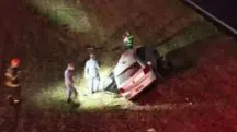 Vacas invadem pista e causam acidente em rodovia de São Paulo, que deixa três feridos