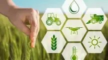 A tecnologia de precisão torna a agricultura mais eficiente, econômica e sustentável | Foto: Reprodução/Redes sociais
