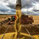 A soja é um dos trunfos do agronegócio brasileiro | Foto: CNA/Wanderson Araújo/Trilux