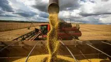 A soja é um dos trunfos do agronegócio brasileiro | Foto: CNA/Wanderson Araújo/Trilux