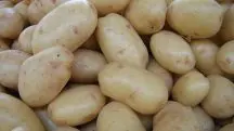 Batatas influenciam na inflação