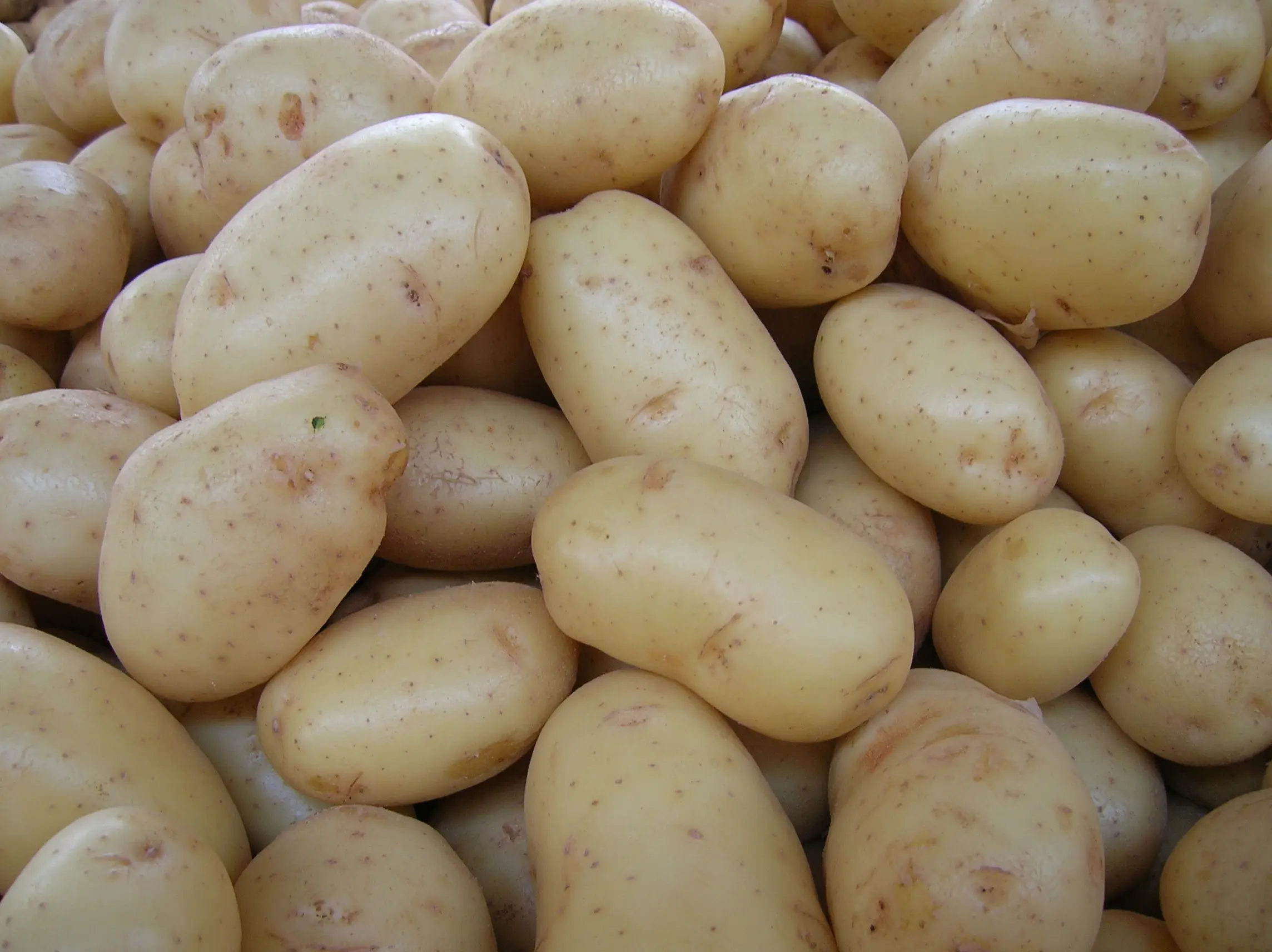 Batatas influenciam na inflação