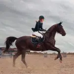 O prefeito de São Paulo, Ricardo Nunes, sancionou a lei que proíbe corridas de cavalos no município