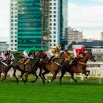 Corridas de cavalos no Jockey Club de São Paulo