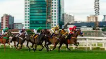Corridas de cavalos no Jockey Club de São Paulo