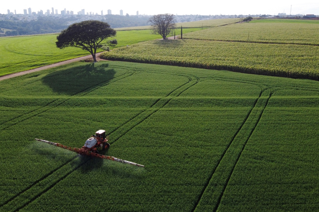 Um trator pulveriza defensivos agrícolas em plantações de trigo a serem colhidas em Arapongas - 6/7/2022 | Foto: Rodolfo Buhrer/Reuters