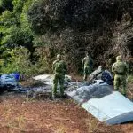 Imagem do avião com pasta-base de cocaína, queimado