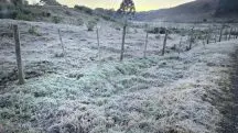 Geada em Santa Catarina