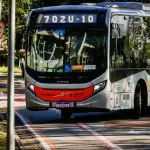 Movimentação de ônibus dentro do Campus Cidade Universitária, zona oeste da capital paulista – 2/27/2024 | Foto: Aloisio Mauricio/FotoArena/Estadão Conteúdo