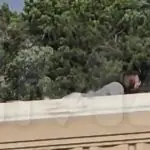 Homem apontado como atirador, no atentado a Donald Trump, nos EUA
