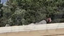 Homem apontado como atirador, no atentado a Donald Trump, nos EUA