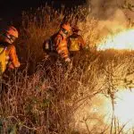 Equipe dos bombeiros apaga incêndio no Pantanal