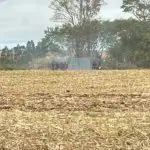 Invasão indígena de propriedade privada no Paraná