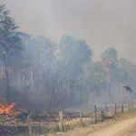 Incêndio no Pantanal