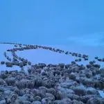 Patagônia argentina