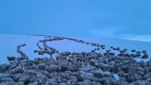 Patagônia argentina