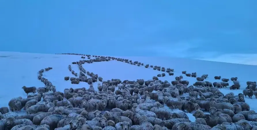 Patagônia argentina