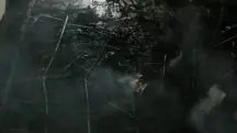 Incêndio destrói exposição sobre cinema em shopping do Rio