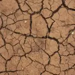 A falta de chuva impacta o abastecimento, a agricultura e a saúde pública | Foto: Freestockcenter/Freepik