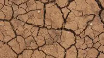 A falta de chuva impacta o abastecimento, a agricultura e a saúde pública | Foto: Freestockcenter/Freepik