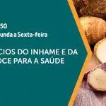 Imagem de divulgação da edição de 26/7/2024 do programa A Força do Agro, que destaca a importância do inhame e da batata-doce | Foto: Divulgação/Revista Oeste