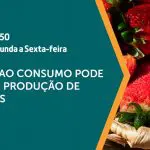 Arte de divulgação da edição de 22 de julho de 2024 do programa A Força do Agro, que vai abordar o cultivo de morango no Brasil