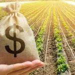 Agro brasileiro: cerca de R$ 2 milhões por minuto em exportações | Foto: Reprodução/Shutterstock