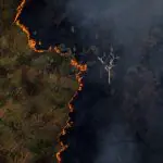 Região da Amazônia tem recorde de incêndios em 2024. Foto retrata uma queimada na floresta