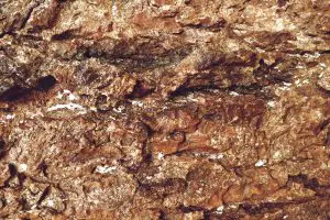 aA descoberta da KoBold na Zâmbia poderia fornecer cobre suficiente para 100 milhões de baterias de veículos elétricos médios em duas décadas de produção | Foto: Reprodução/Freepik