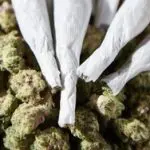 Cigarros de maconha